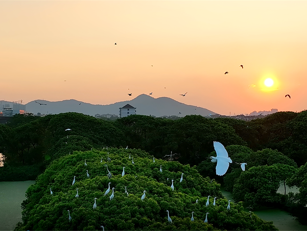 瓜瀝雁蕩濕地